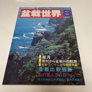 盆栽世界 1985年8月号 皐月 素材から盆栽への軌跡 盆栽比較診断