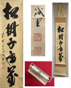 【千寿】大徳寺派 三玄院 藤井誡堂 松寿千年翠 自筆 一行書 紙本 d1035◆在銘 箱 茶掛 掛軸 掛物 茶道具 100033073　