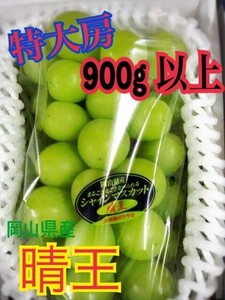 【京の果実屋】特大房１房900ｇ◆シャインマスカット★皮ごと種なし激甘！◆岡山『晴王』限定 