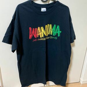 WANIMA ワニマ　PIZZA OF DEATH ラスタカラー　Tシャツ サイズ L