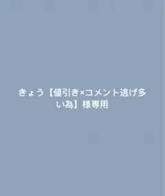 きょう【値引き×コメント逃げ多い為】様専用