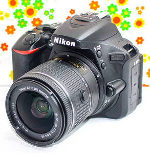 美品 ニコン Nikon D5600☆スマホに転送☆高性能一眼レフ☆自撮り可能！