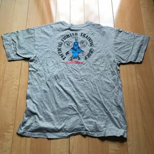 JASDF 航空自衛隊 飛行教導群 Tシャツ 537-1-349 メンズ LL グレー