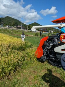 新米　京都丹波産コシヒカリ