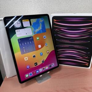 【バッテリー100％!!新品同様品!!】iPadPro12.9 第6世代 256GB Wi-Fiモデル　黒　AppleCare＋加入品！！MNXR3J/A　極上美品！即決あり！