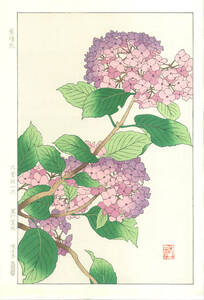 真作保証　大菅祐一 　木版画　　F178 紫陽花 (Hydrangea)　 　初版昭和中期～　 　 旧版作品　 希少作品　 最後の1枚!!