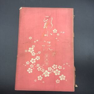 明治時代の名作「新小説」第三号　春陽堂　明治29年発行　口絵2枚