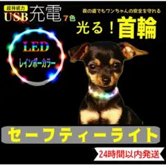 首輪 光る LEDライト 小型犬 中型犬 大型犬 USB充電 七色 MU-29