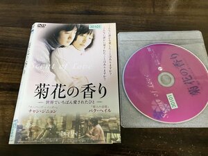 菊花の香り　世界でいちばん愛されたひと　DVD　パク・ヘイル　即決　送料200円　118