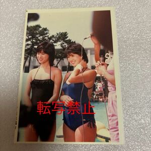 □河合奈保子 松田聖子 水泳大会 水着 生写真 L判サイズ