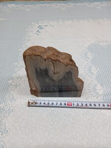 　木の化石　？　　　高さ1４cm　　　重さ約1,９３０g　詳細不明