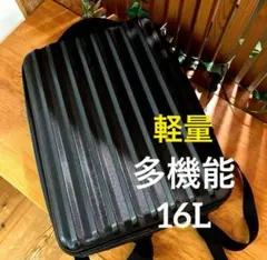 【極美品】軽量 16L ハードジェルリュックケース バックパックUSB付き