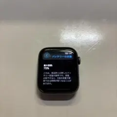 【中古美品】Apple Watch Series 4 44mm