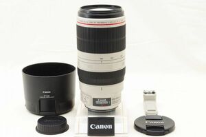 ☆極上美品☆ Canon キャノン EF 100-400mm F4.5-5.6 L IS Ⅱ USM ♯24091607