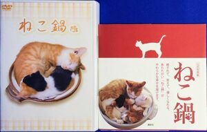 ねこ鍋　DVD&公式写真集