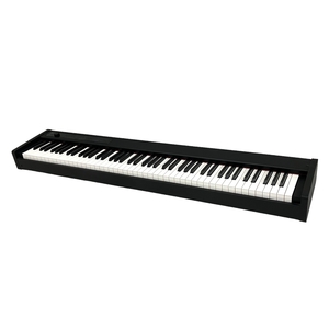 【引取限定】KORG D1 電子ピアノ ブラック 88鍵 2022年製 スピーカーレス スリム ピアノ コルグ 中古 訳有 直T8865234