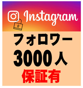 【おまけ instagram インスタグラム フォロワー 3000人】YouTube Tiktok インスタフォロワー　チャンネル登録者数　自動増加ツール 