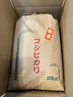 三重県産コシヒカリ新米10㎏　精米済み