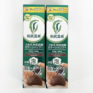 未開封 未使用品 利尻昆布 利尻炭酸カラーシャンプー 白髪用 ダークブラウン 180g×2本セット　 [R14620]