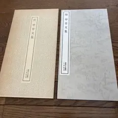 殷　甲骨文集　 　　　　書跡名品叢刊　二玄社