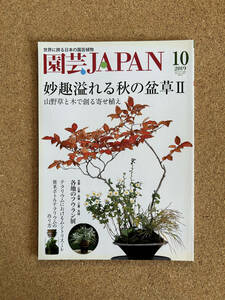 園芸JAPAN 2019年10月号　富貴蘭 サクラソウ 春蘭 セッコク ※ 自然と野生ラン