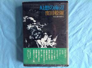 幻想の岸辺 窪田般彌 函入り初版