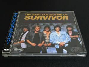 折込帯！D32Y0070 ◆ サバイバー / THE BEST COLLECTION OF SURVIVOR