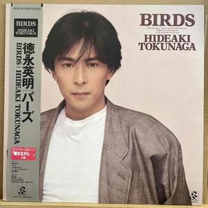 LP■和モノ/德永 英明/Birds/Radio City AY28-14/Japan Press 87年Orig Obi 帯 美盤/Hideaki Tokunaga/バーズ