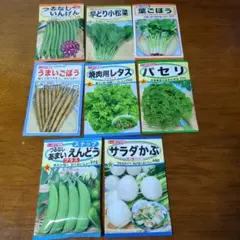 野菜の種　8個　【訳あり】