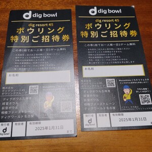 即決送料込み!２枚セット　チケット　無料券　dig bowl ボウリング　ディグボウル　招待券　デート　引換　引き換え　クーポンいいね！