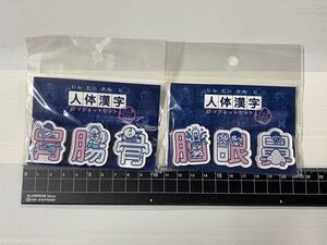 人体漢字 マグネットセット まとめて 未使用品 人体 漢字 イラスト付き マグネット 磁石 株式会社コーエイ 検 知育玩具 知育