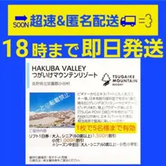 【お急ぎ】つがいけマウンテンリゾート　栂池高原リフト利用割引券　１枚fメルカリ便