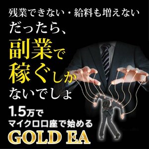 【2024年最新!!!!!!】利益追求型 GOLD EA ゴールドEA 無料EA MT4 自動売買ソフト XM口座 必勝法 資産運用 完全無料 副業 投資 不労所得 g4