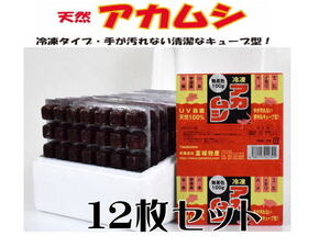 冷凍餌 富城物産 天然アカムシ 100gx12枚セット　赤虫 冷凍エサ（1枚200円）クール便60