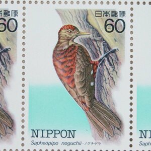 【切手2265】特殊鳥類シリーズ 第2集 ノグチゲラ 60円20面1シート