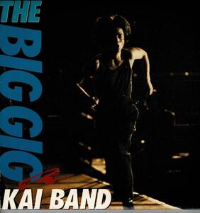 甲斐バンドLP THE BIG GIG KAI BAND2枚組とEP5枚セット