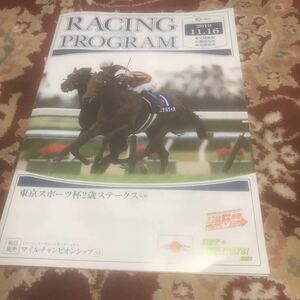 JRAレーシングプログラム2019.11.16（土）東京スポーツ杯2歳ステークス（GⅢ）、アンドロメダステークス（L）、フルーツラインカップ