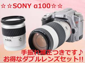 手振れ補正付き♪☆広角～超望遠撮影OKです!!☆ SONY a100 #6316