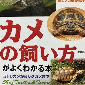 カメの飼い方がよくわかる本　ミドリガメからリクガメまで 霍野晋吉／監修