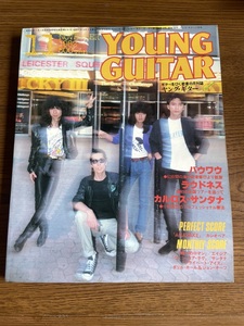 ★ ヤングギター Young Guitar 1982年11月 ASIA Casiopea カシオペア SANTANA サンタナ ダリルホール&ジョンオーツ 