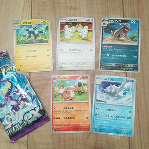 ポケモンカードゲーム　バイオレットex ガーディ　ワッカネズミ