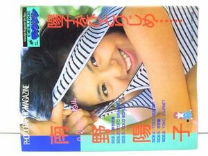 南野陽子 陽子をひとりじめ…　写真集　DELUXEマガジン　[sc1128]