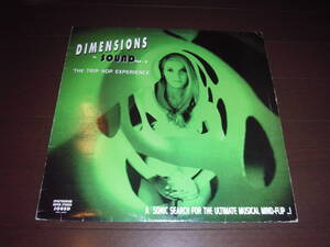 V.A / DIMENSIONS IN SOUND VOL 2 THE TRIP HOP EXPRIENCE /PIERRE HENRY/NINO NARDINI/STEVEN HALPERN 