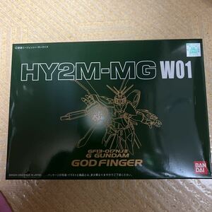 機動武闘伝Gガンダム MG 1/100 ゴッドガンダム HY2M-MG W01 新品未開封 バンダイ 