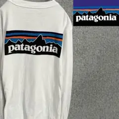 Patagonia  ロンT バックロゴ　ホワイト　メンズS