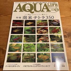 雑誌 月刊アクアライフ AQUA LIFE 2023年10月号 (2023-09-18) 南米テトラ シクラソマ パーセイ ボコーティ メダカ ダニオネラ