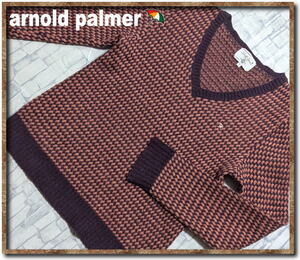 ☆Arnold Palmer　アーノルドパーマー　刺繍入りVネックジャガードニット☆