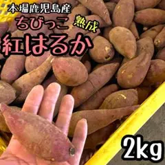 ぷち芋◎鹿児島県産 紅はるか 2kg さつまいも 焼き芋に◎310