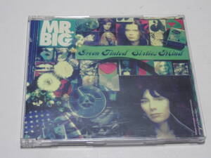 ★MR.BIG★GREEN TINTED SIXTIES MIND★7インチ マキシ★JUST TAKE MY HEART アコースティック・バージョン収録★