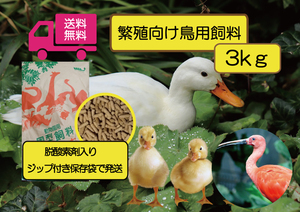 ①送料無料 【アヒル・コールダック用繁殖、ヒナ向け飼料】3Ｋｇ　 水鳥全般、トキ用として